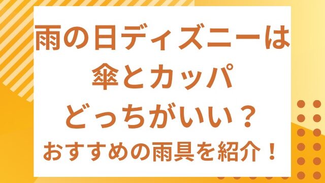 雨の日ディズニーは傘とカッパどっちがいい？おすすめの雨具を紹介！