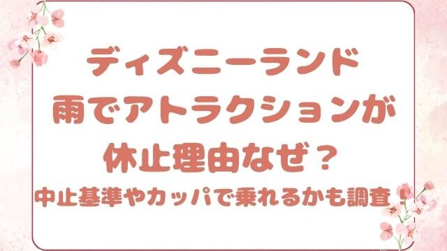 ディズニーランド雨でアトラクションが休止理由なぜ？中止基準やカッパで乗れるかも調査！