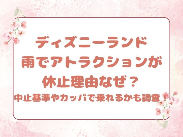 ディズニーランド雨でアトラクションが休止理由なぜ？中止基準やカッパで乗れるかも調査！